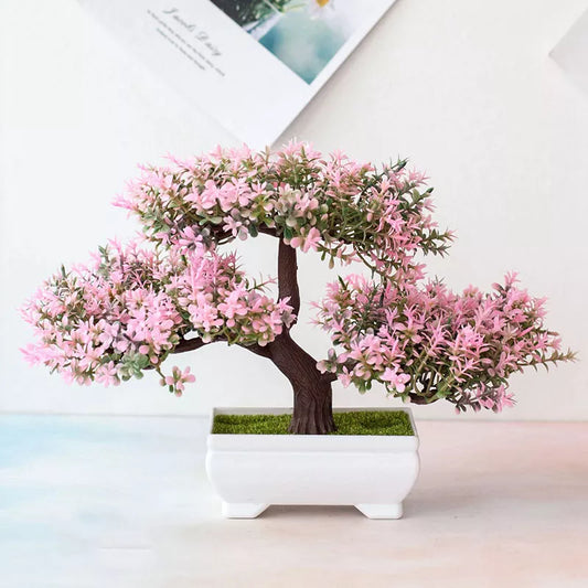 Charming Mini Bonsai Plant