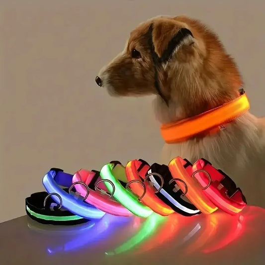 Nylon Glow Dog Leash