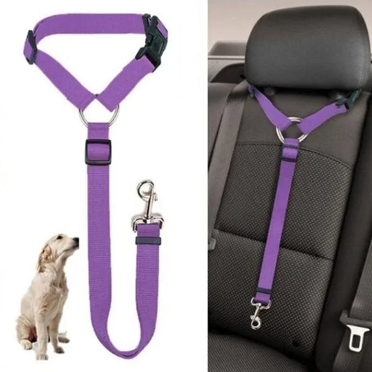 Two-in-One Pet Car Leash